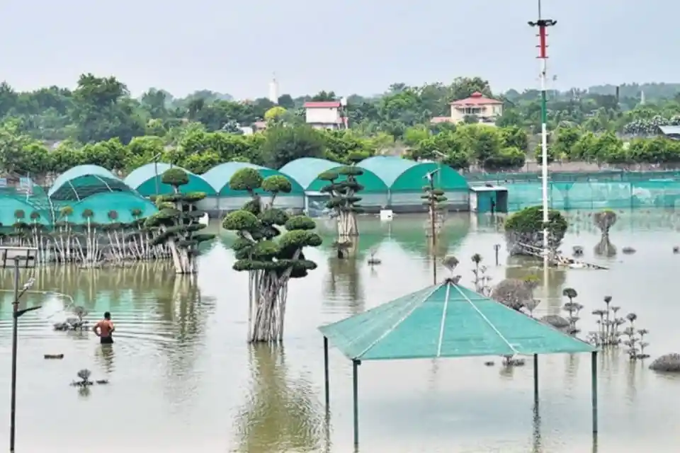 सोलानी नदी बाढ़ क्षेत्र सीमांकन और राष्ट्रीय हरित अधिकरण रिपोर्ट