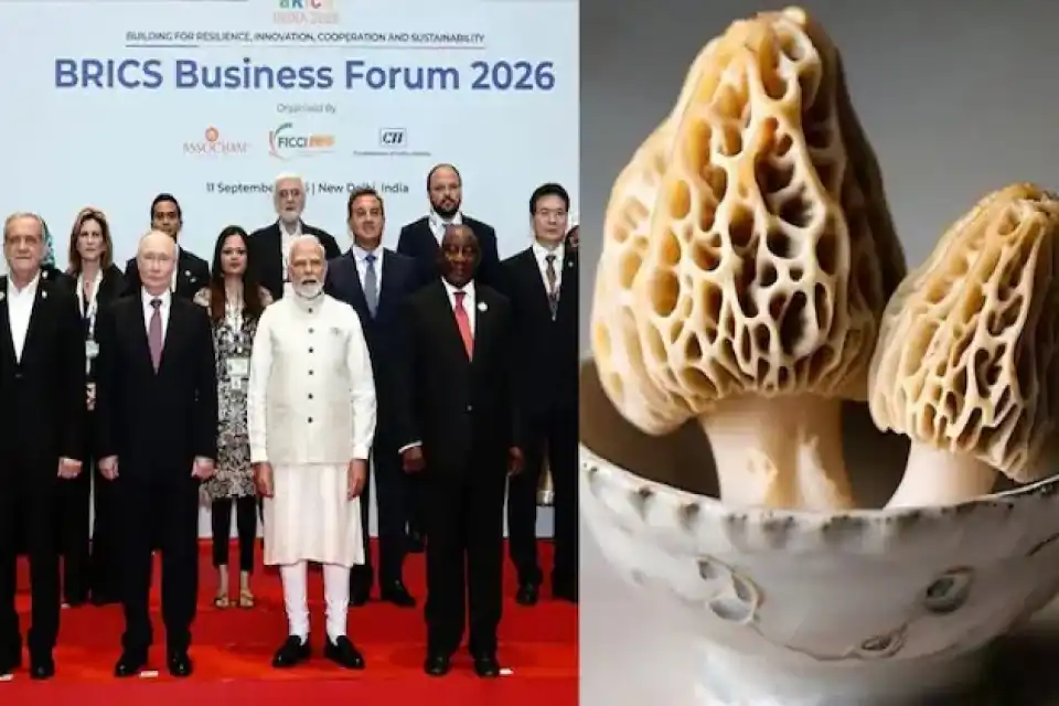 BRICS Summit 2026 में छाई हिमालयी गुच्छी मशरूम, जानिए क्यों है इतनी खास