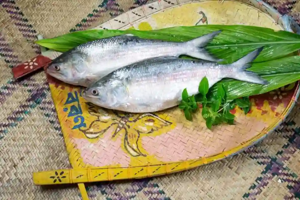 दामोदर नदी में हिलसा मछली का मिलना और भौगोलिक महत्व