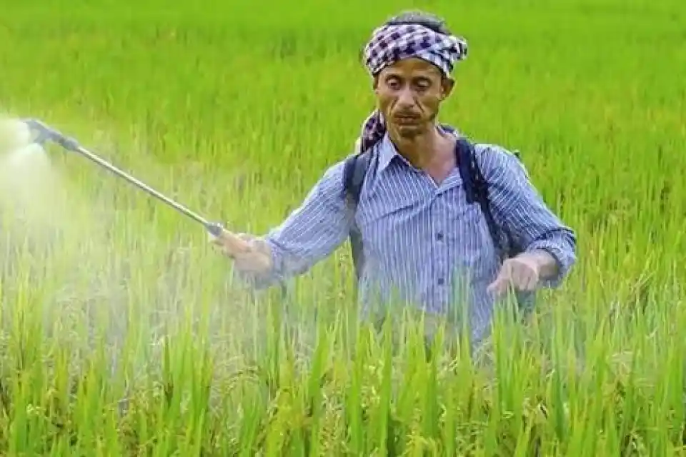 सल्फर की कीमतों में उछाल और भारतीय उर्वरक क्षेत्र