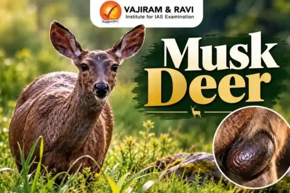 असम में छह कस्तूरी मृग ग्रंथियों की बरामदगी