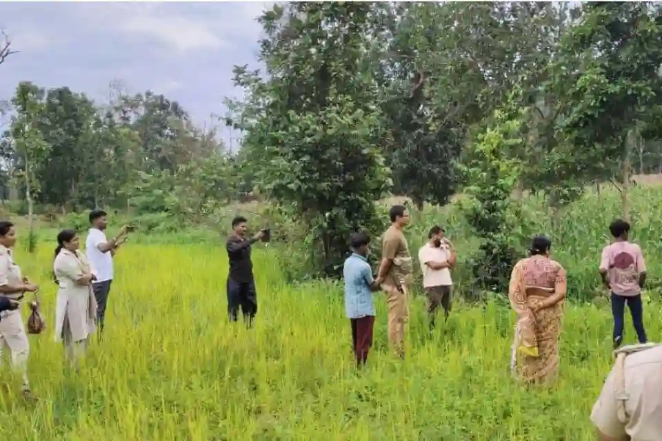 उदंती-सीतानदी टाइगर रिजर्व: पेड़ों की गर्डलिंग और संरक्षण से जुड़े मुद्दे