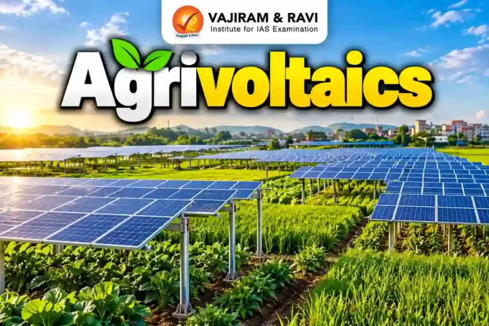 एग्रीवोल्टिक्स: भारत की 10% उपयुक्त कृषि भूमि मिटा सकती है 2050 की बिजली मांग