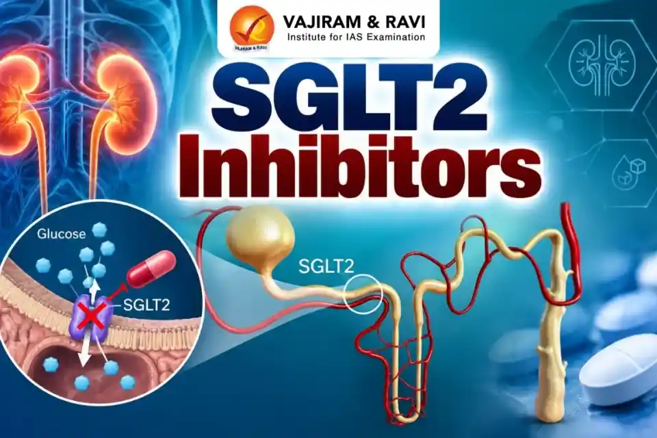 80 पार बुजुर्गों और किडनी मरीजों के लिए SGLT2 इनहिबिटर्स: अध्ययन में फायदे और जोखिम उजागर